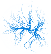 khws_web_medizin_durchblutung-4